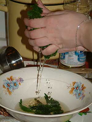 Крапивный салат 08