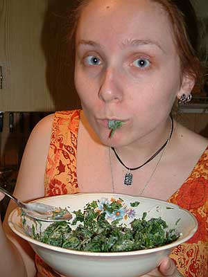 Крапивный салат 14